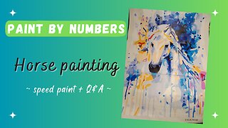 Paint by Numbers - Splash Art Horse + Q&A! (with ambient piano music)