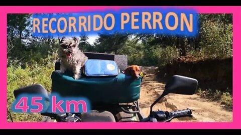 ATV 250cc ITALIKA - Recorrido Perron de 45 KM con Perro-Parte3