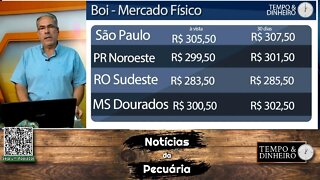 Boi gordo em queda com negócios pontuais. B3 mostra reação em 2022