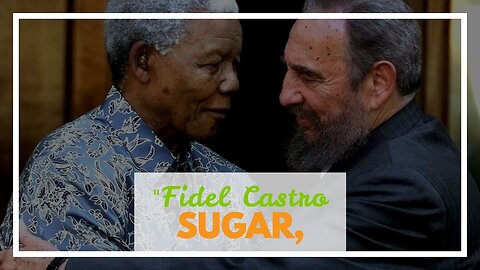 "Fidel Castro and his Impact on Cuban History" Fundamentals Explained