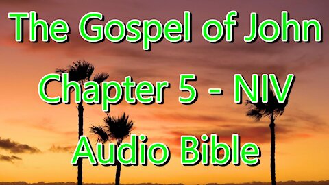 The Holy Bible - The Gospel of John Chapter - 5 - (Audio Bible - NIV)