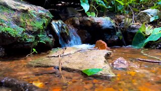 Running Water Sound, Relax, Meditate, Rest