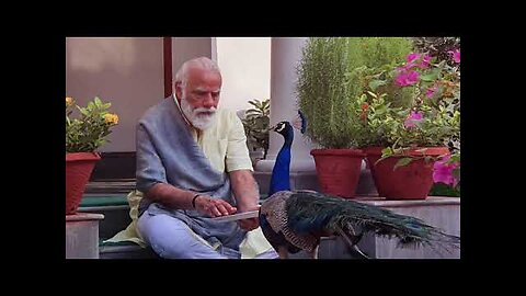 Precious moments- PM Modi feeding peacocks at his residence