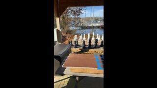 Lake of the Ozarks Yacht Club Missouri