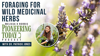 EP: 403 Foraging for Wild Medicinal Herbs with Dr. Patrick Jones