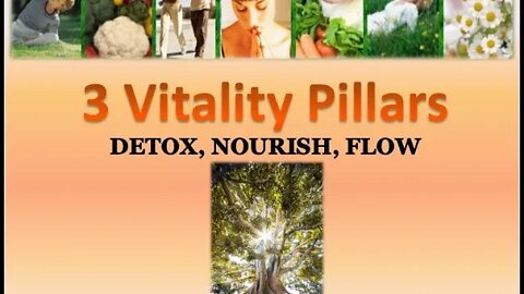 3 Vitality Pillars QnA, Vitality Project, Vietnam Chapter
