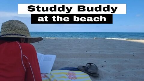 Studdy Buddy at the Beach 📖 Mohinder Singh Jus "The Journey of a Disease"