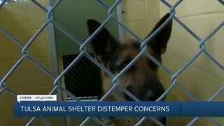 Tulsa Animal Shelter Distemper Concerns
