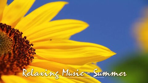 Sound of summer - relaxing music for work, study or rest