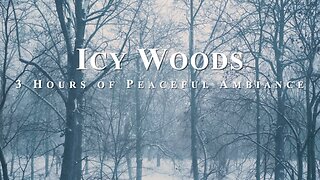 Wintery Forest ASMR: Serene Snowy Woods for Relaxation and Meditation