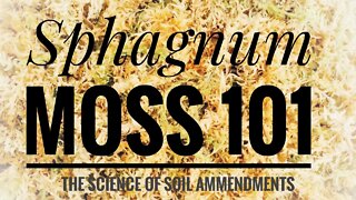 SPHAGNUM MOSS 101. HOW TO USE MOSS AS A SOIL AMENDMENT. THE PROS & CONS | Gardening in Canada 🪴