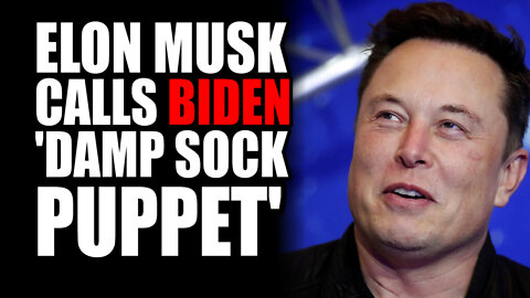 Elon Musk CALLS Biden 'Damp Sock Puppet'