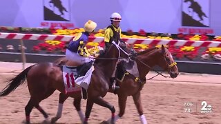 Preakness celebration Black-Eyed Susan Day marks 148 years