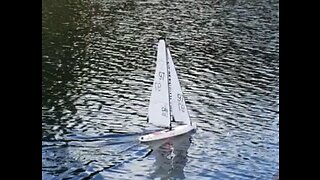 DF65 RC Sailing at Pinery Provincial Park 2022