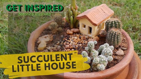 Succulent arrangement idea Cactus House - get inspired with this relaxing video