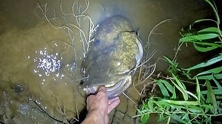 Fishing A New Spot For Catfish On The Big Pee Dee River- Georgetown, SC