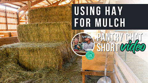 Using Hay for Mulch | Pantry Chat Short