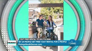 Rethink Your Ride // Pedego Electric Bikes