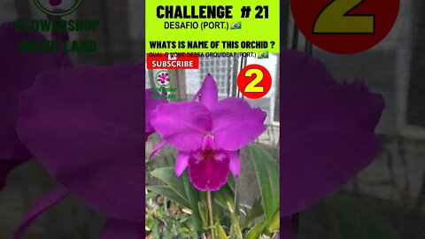 CHALLENGE # 21 |WHATS IS NAME OF THIS ORCHIDS?|YOU WANT TO LEARN? |# SHORT