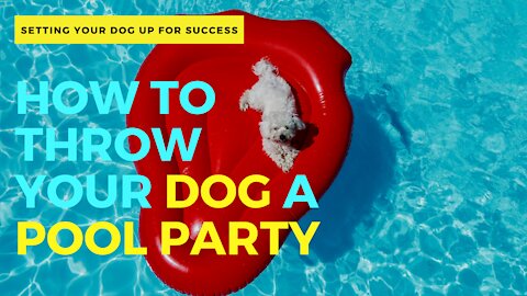 How To Throw Your Dog A Pool Party!