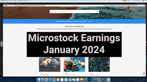 Stock Photography : Microstock Earnings - January 2024