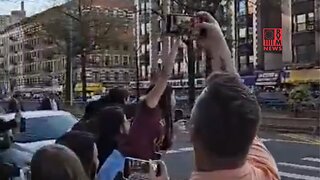 NYC Crowd Goes BONKERS For Trump's Motorcade