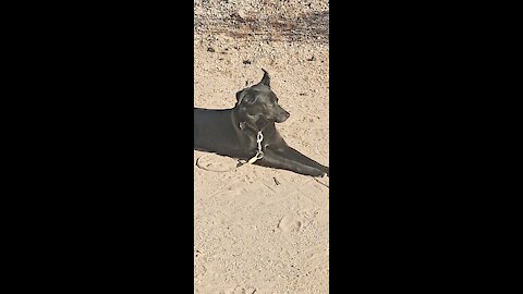 Gila Bend, Arizona Vekol Valley road dispersed campsite review