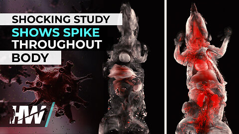 SHOCKING STUDY SHOWS SPIKE THROUGHOUT BODY