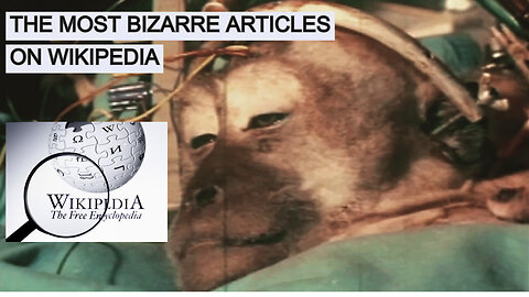 TOP 7 THE MOST BIZARRE ARTICLES ON WIKIPEDIA
