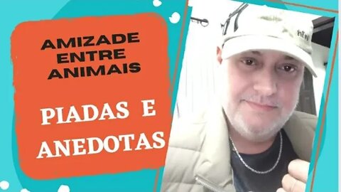 PIADAS E ANEDOTAS - AMIZADE NO MUNDO ANIMAL