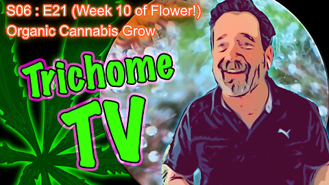 S06 E21 (Day #141) || Day 64 of Flower || How to Water and Grow Cannabis for Beginners ||