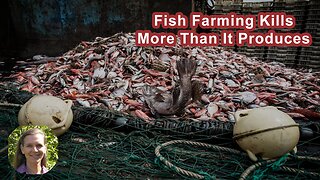 The Fish Farming Industry Kills More Fish Than It Produces