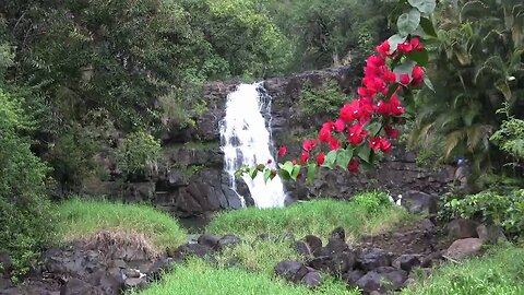 Waimea Falls Tour | Things to Do in Oahu Hawaii