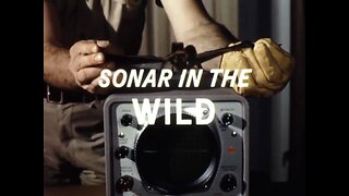 Mutual of Omaha's Wild Kingdom - Sonar in The Wild