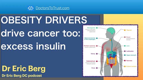 ERIC BERG 1 | OBESITY DRIVERS drive cancer too: excess insulin becomes dysfunctional!