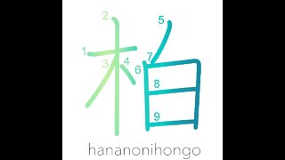 柏 - kashiwa- Japanese emperor oak/daimyō oak -Learn how to write Japanese Kanji 柏 -hananonihongo.com