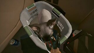 Getting a Cat - Cyberpunk 2077 Game Clip