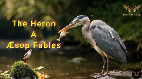 The Heron (A Aesop Fables)