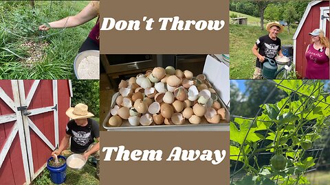 3 Ways To Use Eggshells In The Garden