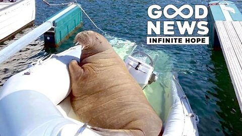 GOOD NEWS - Infinite Hope #93