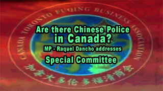 Committee Evasive on Chinese Police in Canada Pending Investigation