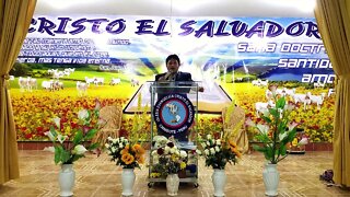 El Ministerio de Profetas y Apostoles - Edgar Cruz Ministries