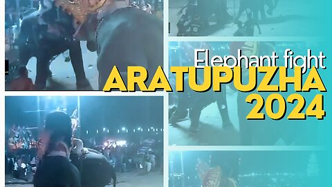 ELEPHANT FIGHT AT Aratupuzha Temple pooram 2024