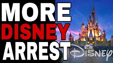 TWO MORE DISNEY EMPLOYEES ARRESTED IN FLORIDA DURING A STING OPERATION