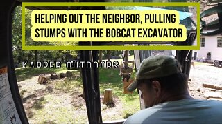 Bobcat (Doosan) Mini Excavator Pulling stumps on a sunny afternoon! Property management
