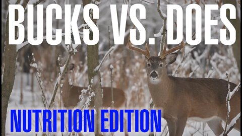 Bucks vs. Does: Nutrition Edition