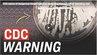 CDC warns of dangerous fungal infection spreading through US at ‘alarming rate’