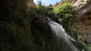 The Holy Land Experience