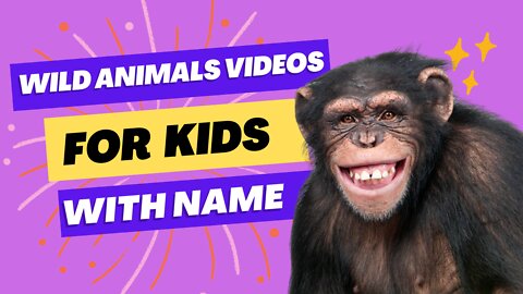 Wild_Animals_With_Names_For_Kids_#Ultra_HD_(4K)_Video_s__4K_MEDIUM_FR30