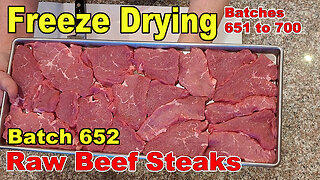 Freeze Drying Batch 652 Beef Tri Tip RAW Steaks